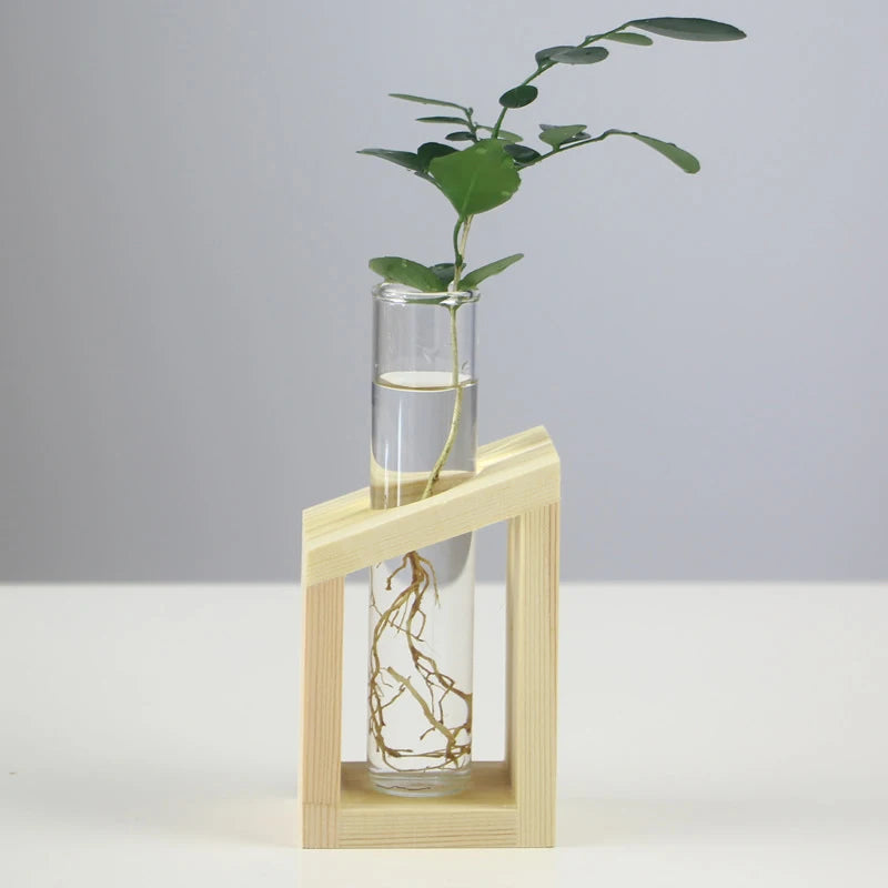 Creative Hydroponic Plant Container Glass Tube Vases With Wooden Stand Terrarium Vasevase Home Desktop Decorations