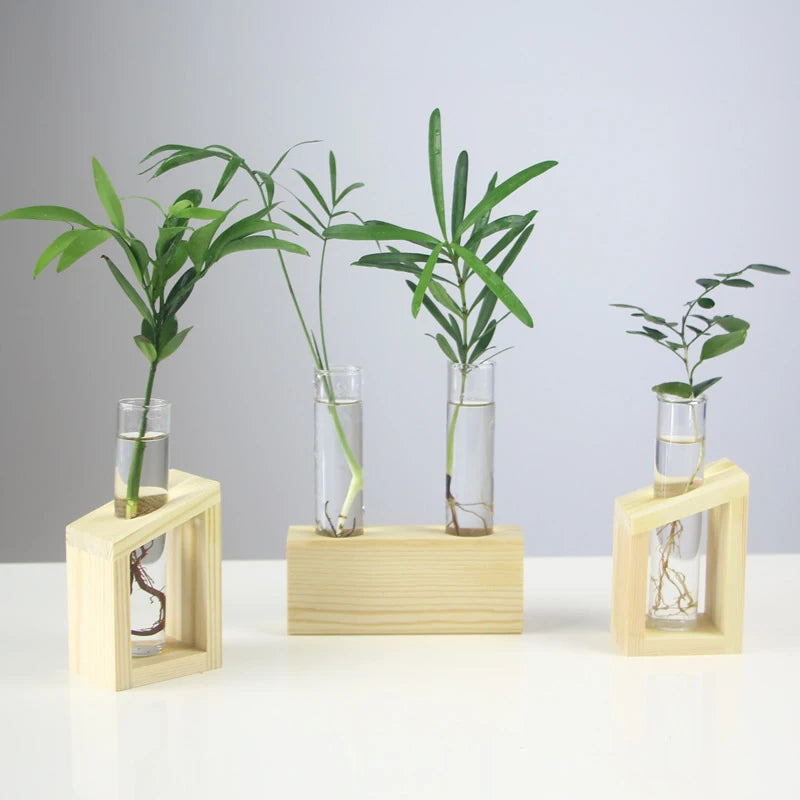 Creative Hydroponic Plant Container Glass Tube Vases With Wooden Stand Terrarium Vasevase Home Desktop Decorations
