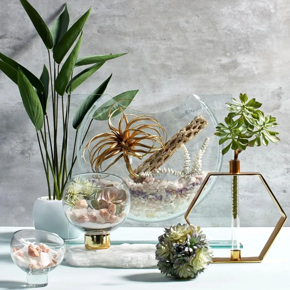 Z GALLERIE Clear Ellipse Vase for Centerpieces Home Decor, Cute Bookshelf Decor, Artistic and Cultural Glass Vases for Home Offi