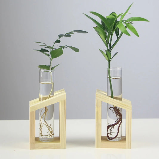 Creative Hydroponic Plant Container Glass Tube Vases With Wooden Stand Terrarium Vasevase Home Desktop Decorations