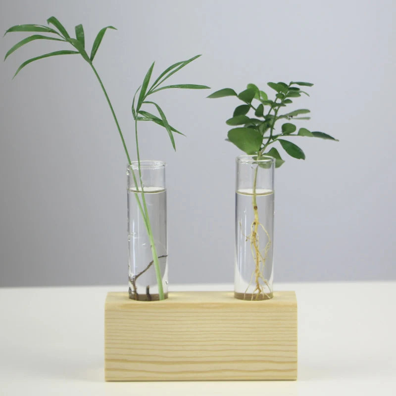 Creative Hydroponic Plant Container Glass Tube Vases With Wooden Stand Terrarium Vasevase Home Desktop Decorations